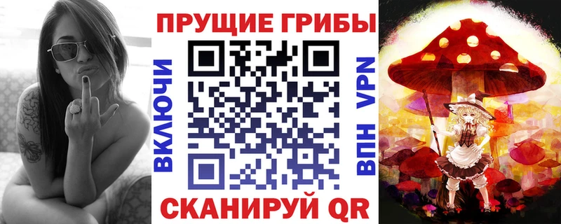Купить где  Горячий Ключ  Псилоцибиновые грибы Psilocybe 